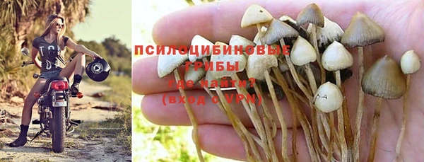 mdpv Кукмор
